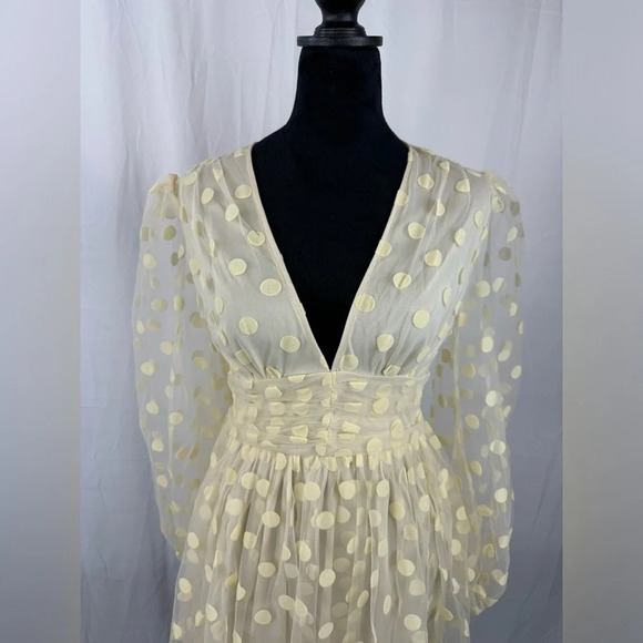 NWT Plunging Neck Polka Dot Mesh Skater Dress Size Small - Picture 2 of 6
